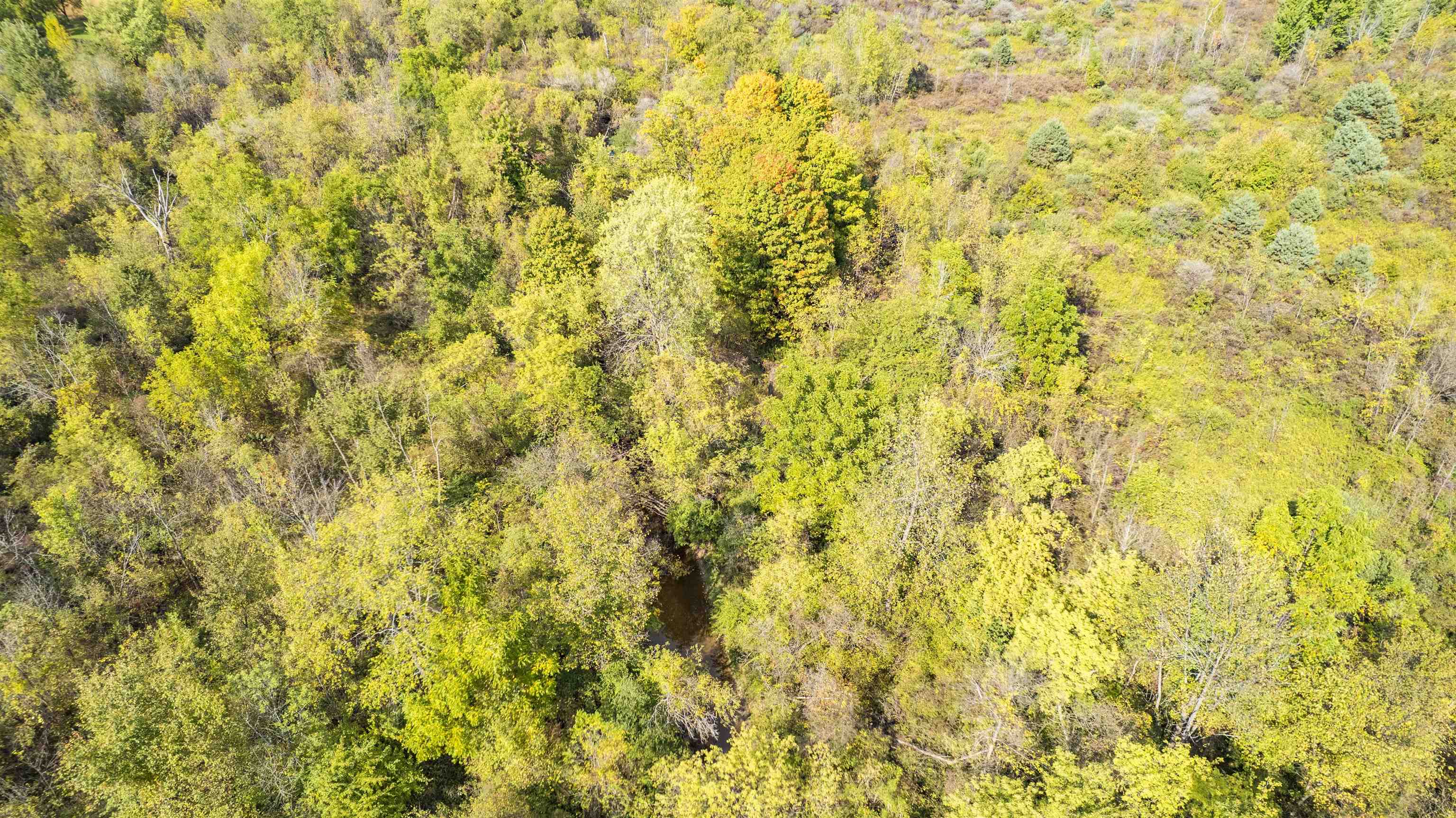 Gd Blanc Road Gaines, MI 48436 - Photo 4 of 11