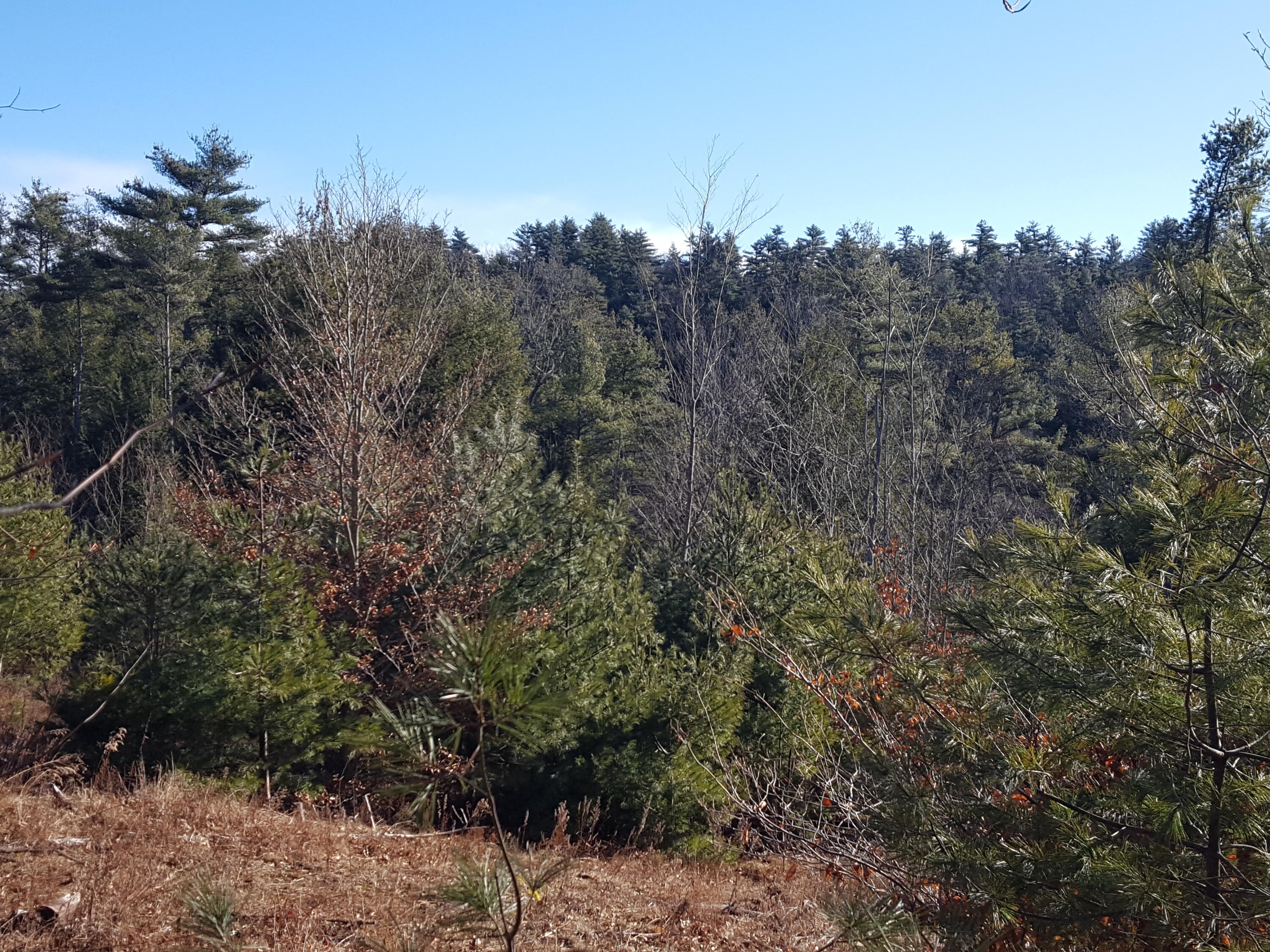88 Mitchell Hill Road Gorham, ME 04038 - Photo 22 of 99 20231220_115733