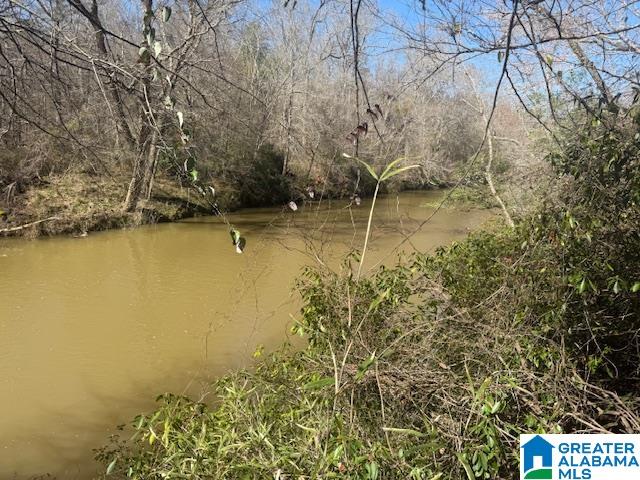 Pate Road Cragford, AL 36255 - Photo 1 of 4