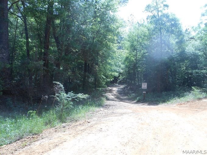 1264 Roaring Road Hartford, AL 36344 - Photo 2 of 31 Gallery Image 2