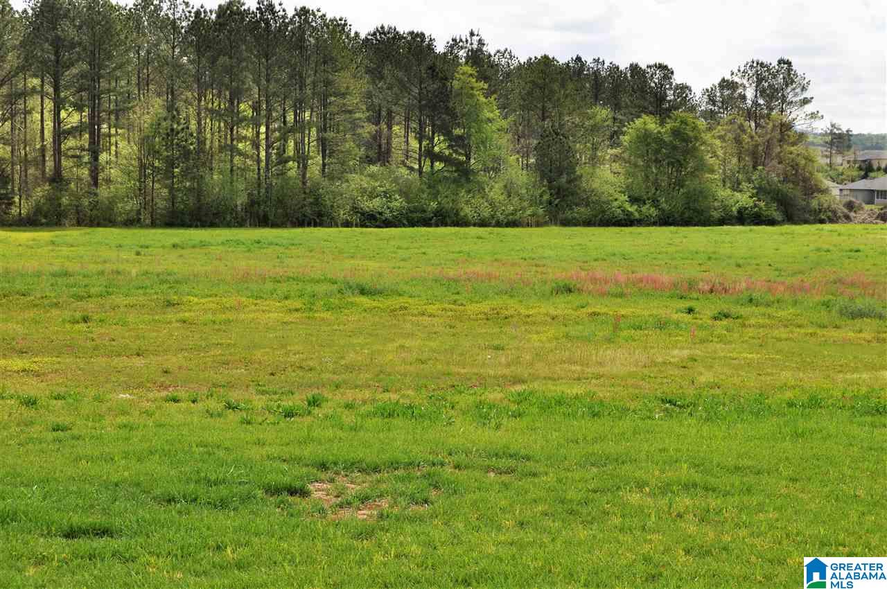 574 Andrew Drive Weaver, AL 36277 - Photo 23 of 24