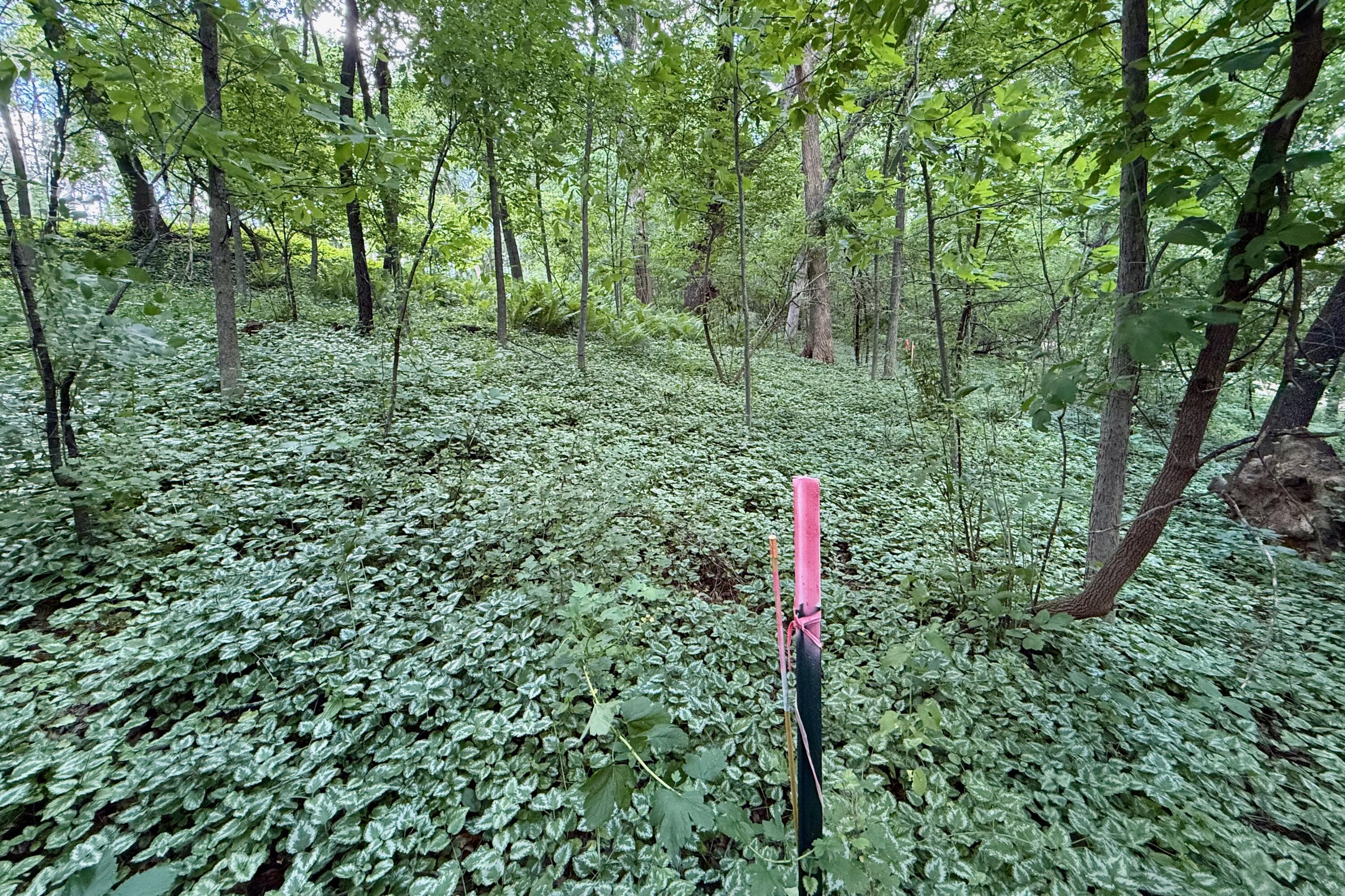 1787 Strawberry Road Deerfield, WI 53531 - Photo 18 of 28 dane-county-wisconsin-land-for-sale-stra