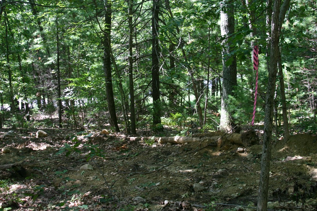 27 Sheridan Road Andover, MA 01810 - Photo 2 of 5 Gallery Image 2