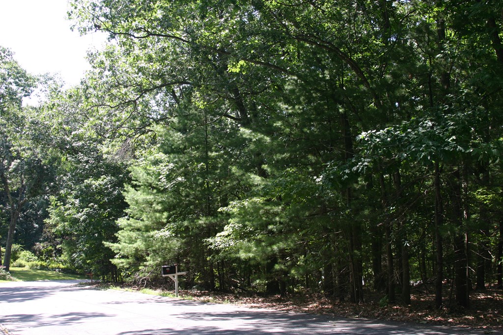 27 Sheridan Road Andover, MA 01810 - Photo 3 of 5 Gallery Image 3