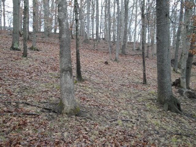 3542 Norwood Road Huntington, WV 25705 - Photo 21 of 22 Gallery Image 21