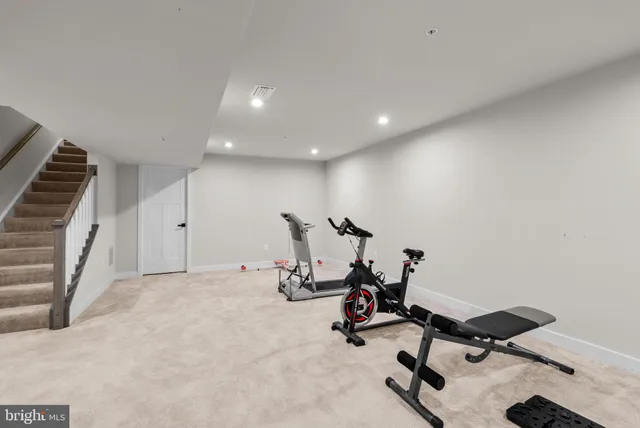 a living room with couches and projector with a potted plant