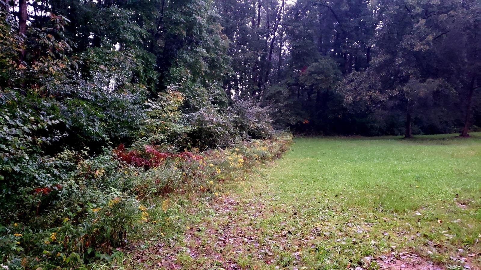 Tbd Northwest County Line Road Riverdale, MI 48877 - Photo 6 of 7