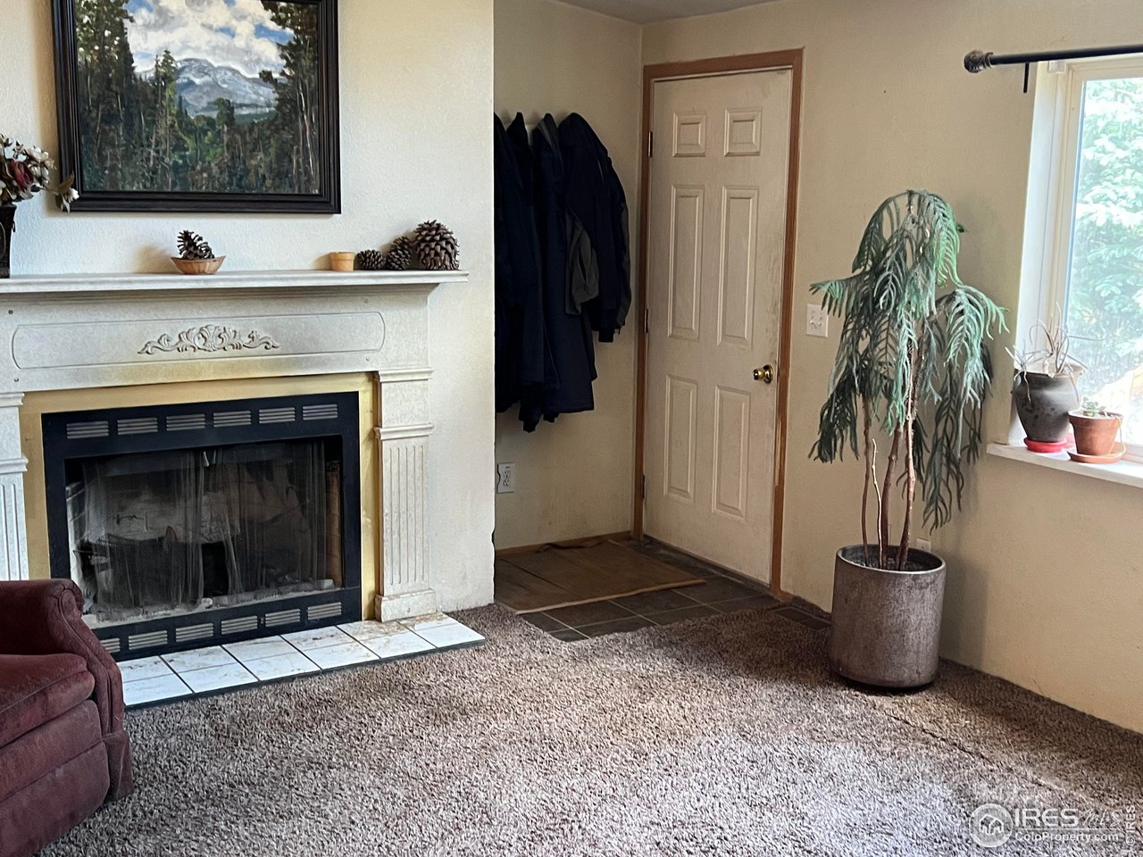 380 Athena Road Black Hawk, CO 80422 - Photo 11 of 15 Gallery Image 11