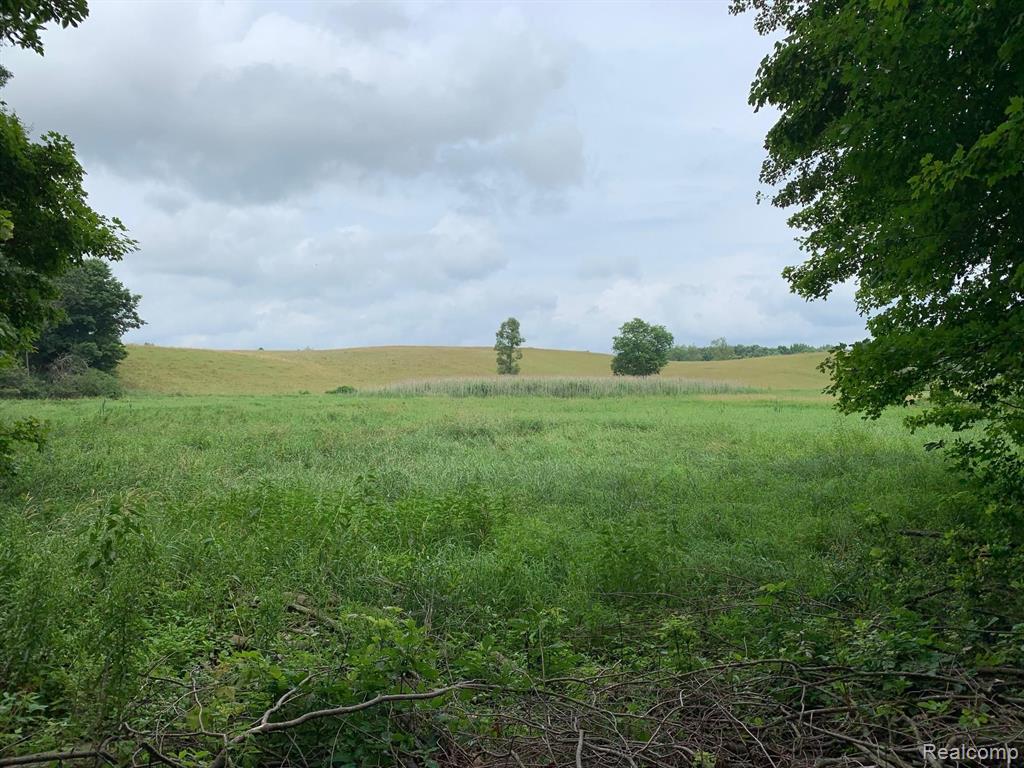 1395 Hadley Road Lapeer, MI 48446 - Photo 44 of 45