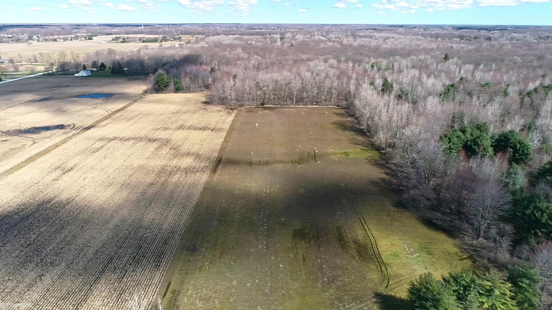 9880 Puttygut Road Casco, MI 48064 - Photo 22 of 64 50138182-65d15023-314a-4194-95f3-978aca810bf0.JPG