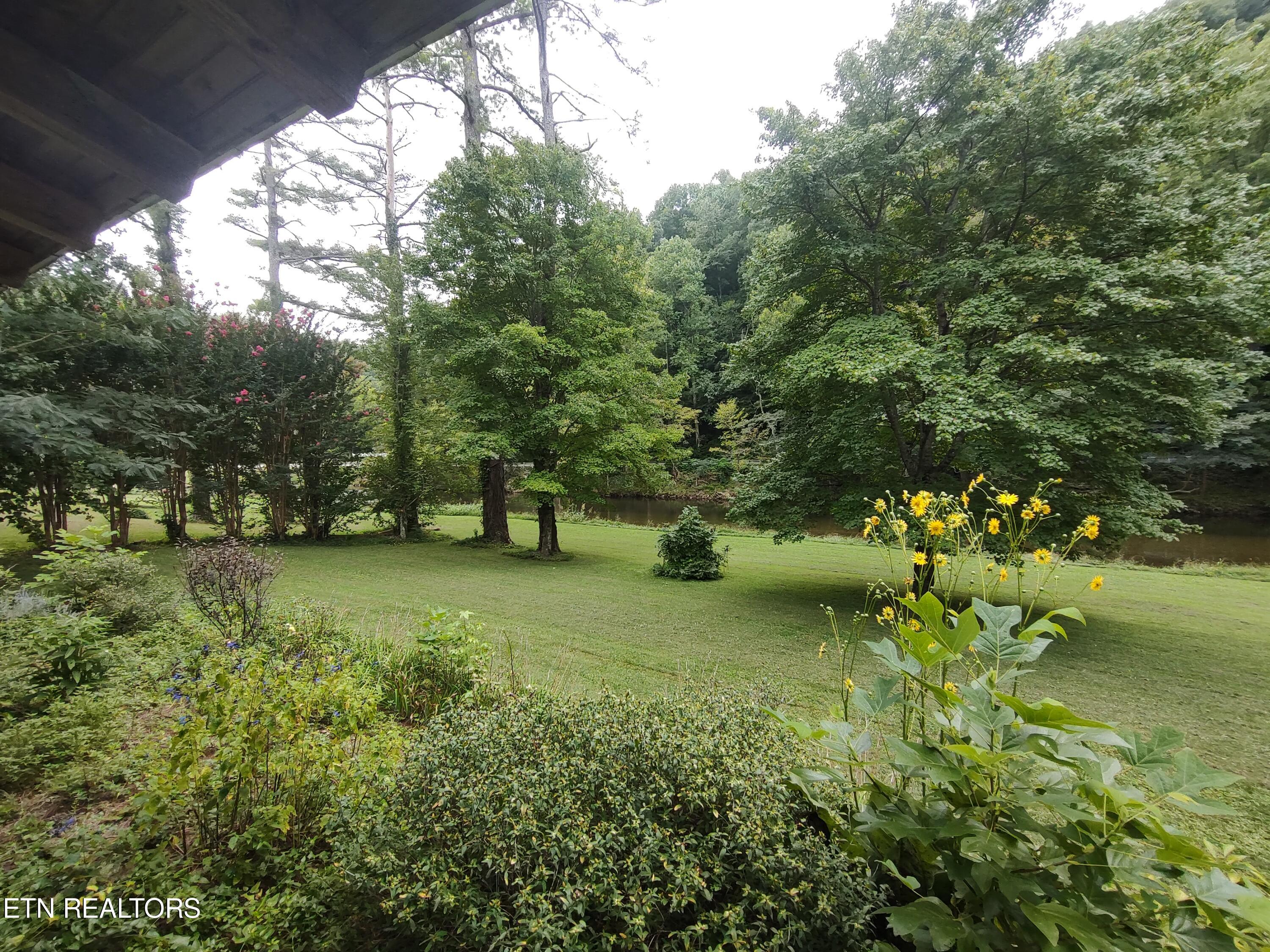 216 Rafter Road Tellico Plains, TN 37385 - Photo 12 of 47 From the porch towards river