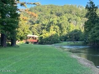 216 Rafter Road Tellico Plains, TN 37385 - Photo 16 of 47 Bridge view