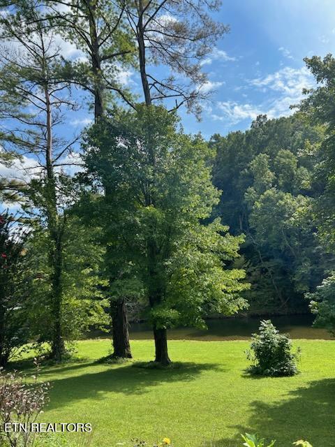 216 Rafter Road Tellico Plains, TN 37385 - Photo 19 of 47 image4903