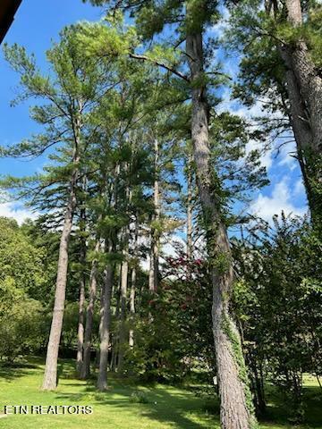 216 Rafter Road Tellico Plains, TN 37385 - Photo 20 of 47 image4904
