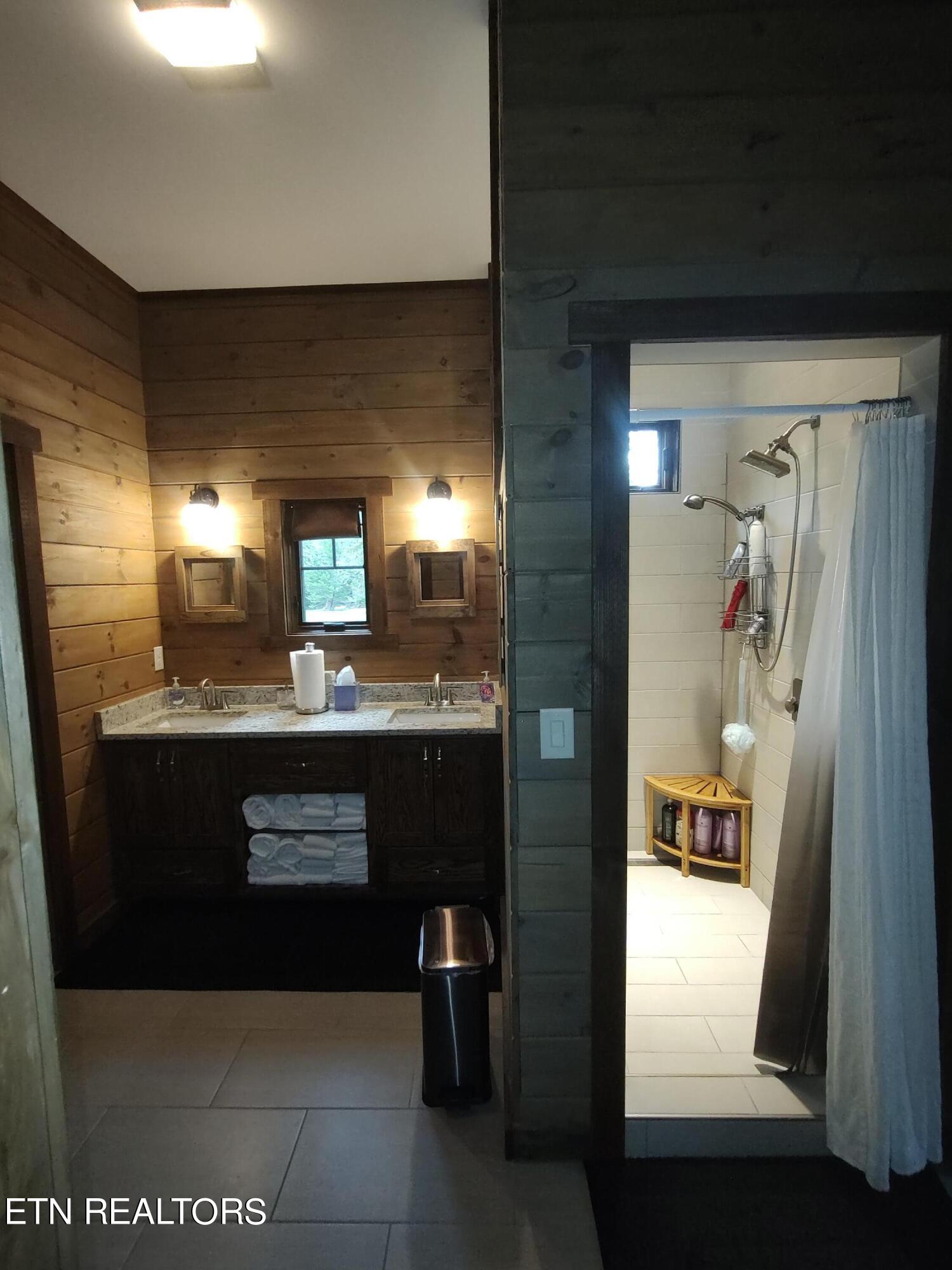 216 Rafter Road Tellico Plains, TN 37385 - Photo 44 of 47 Bath shower