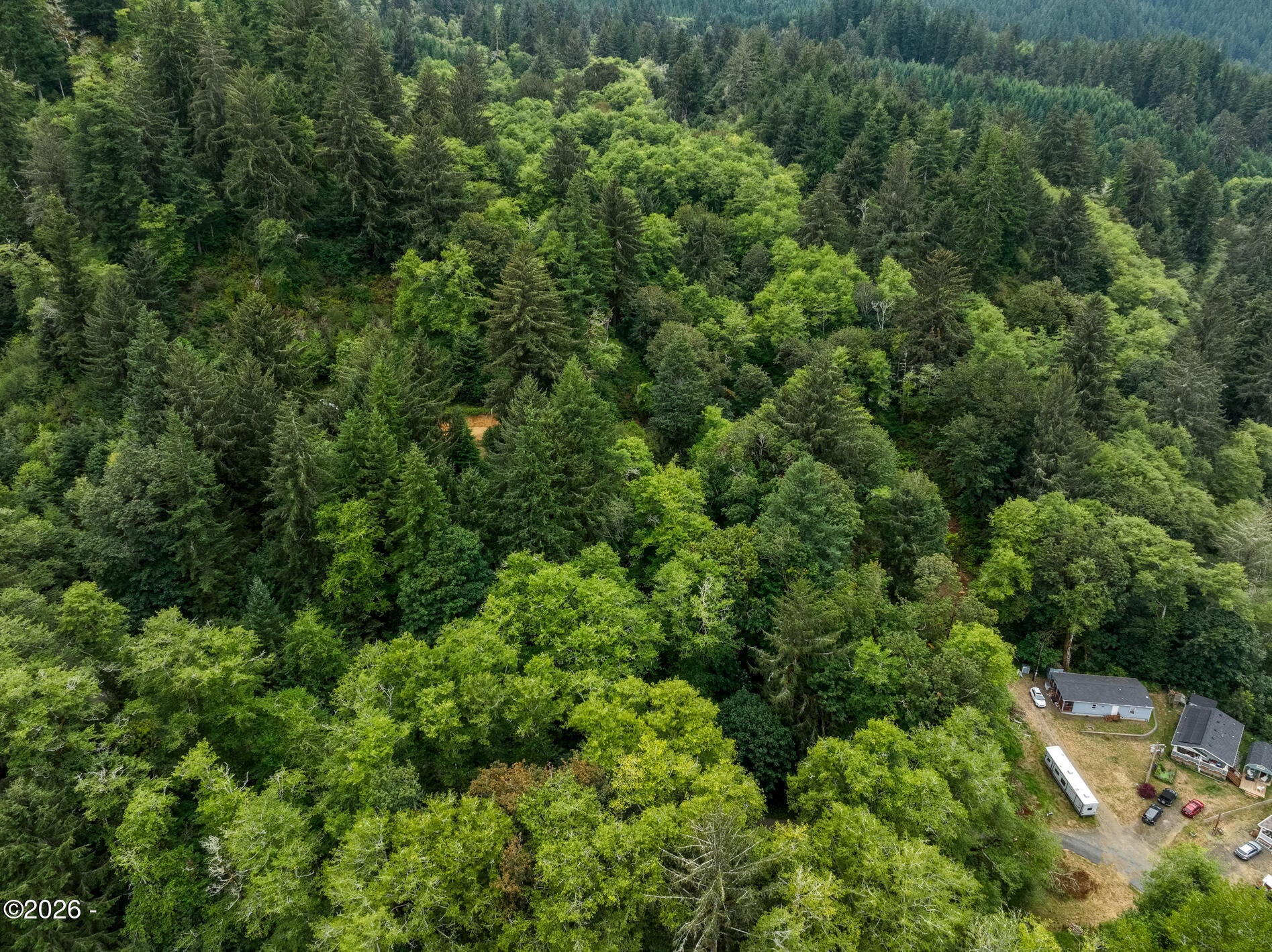 35495 Big Trout Road Hebo, OR 97122 - Photo 19 of 20 Gallery Image 19