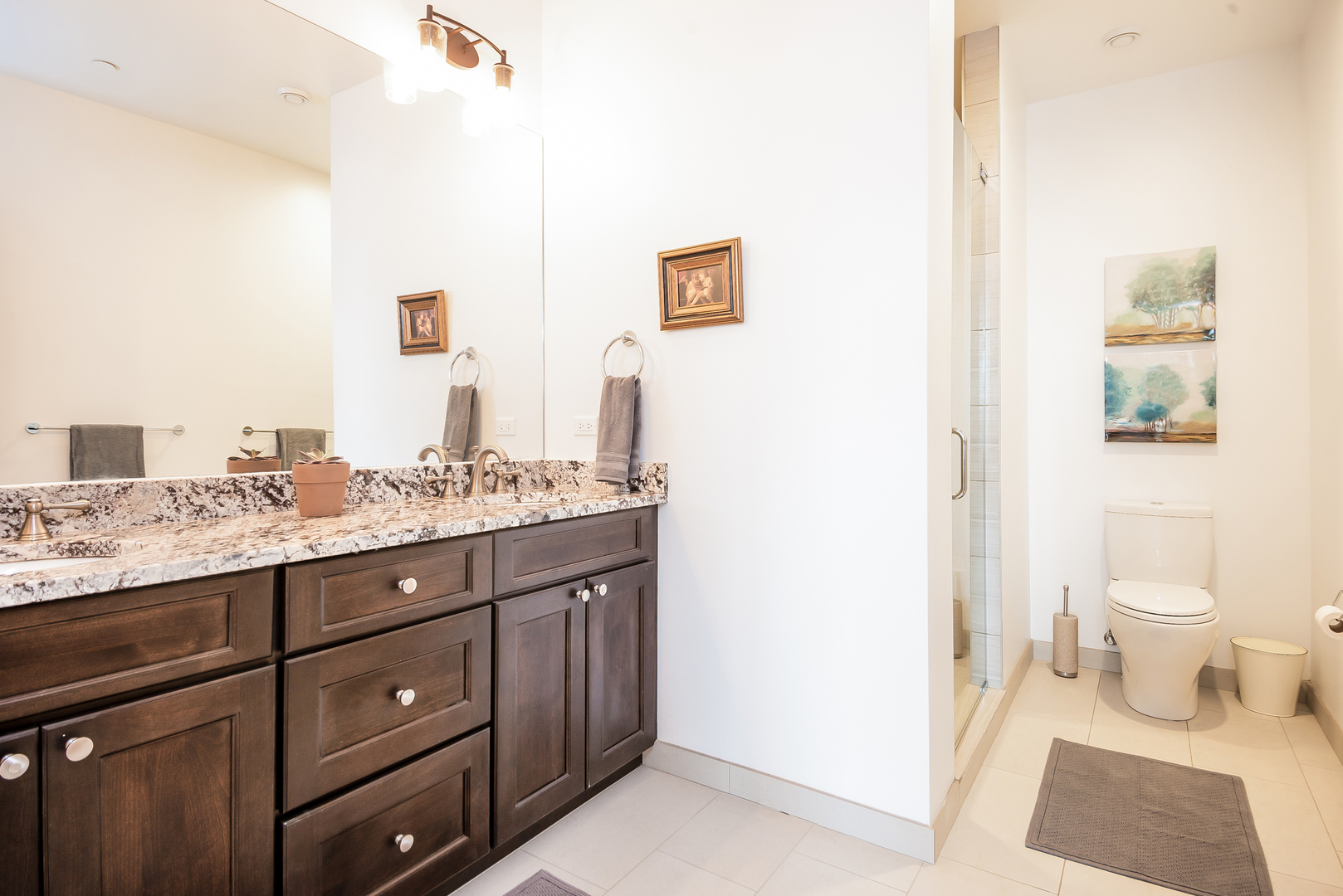 1133 Chicago Avenue, Unit 3E Oak Park, IL 60302 - Photo 15 of 26