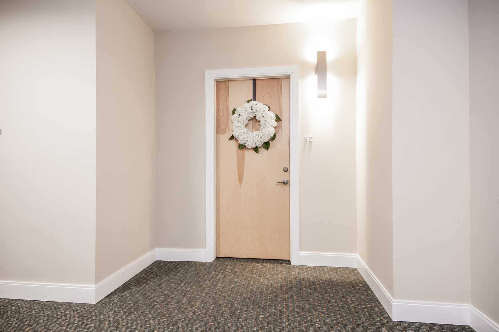 1133 Chicago Avenue, Unit 3E Oak Park, IL 60302 - Photo 4 of 26