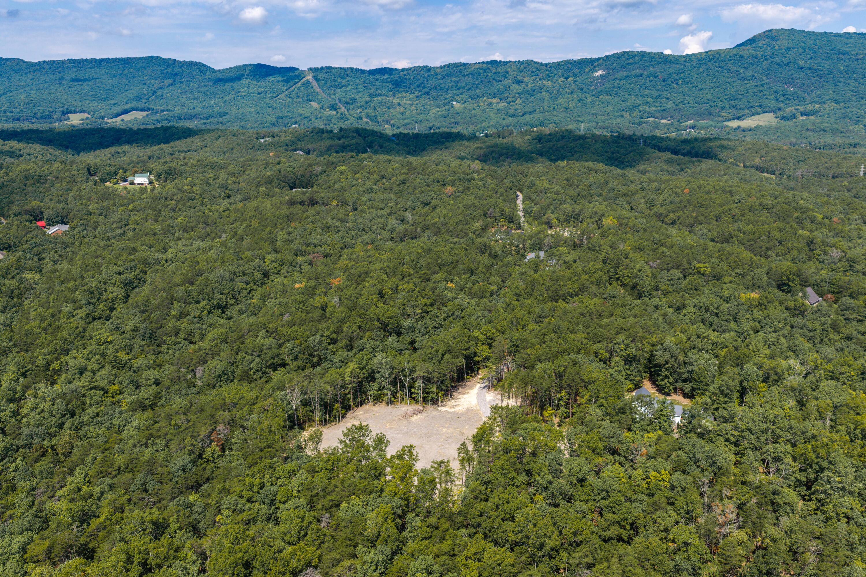 3050 New Ridge Road Elliston, VA 24087 - Photo 17 of 31 DJI_20260830115958_0065_D