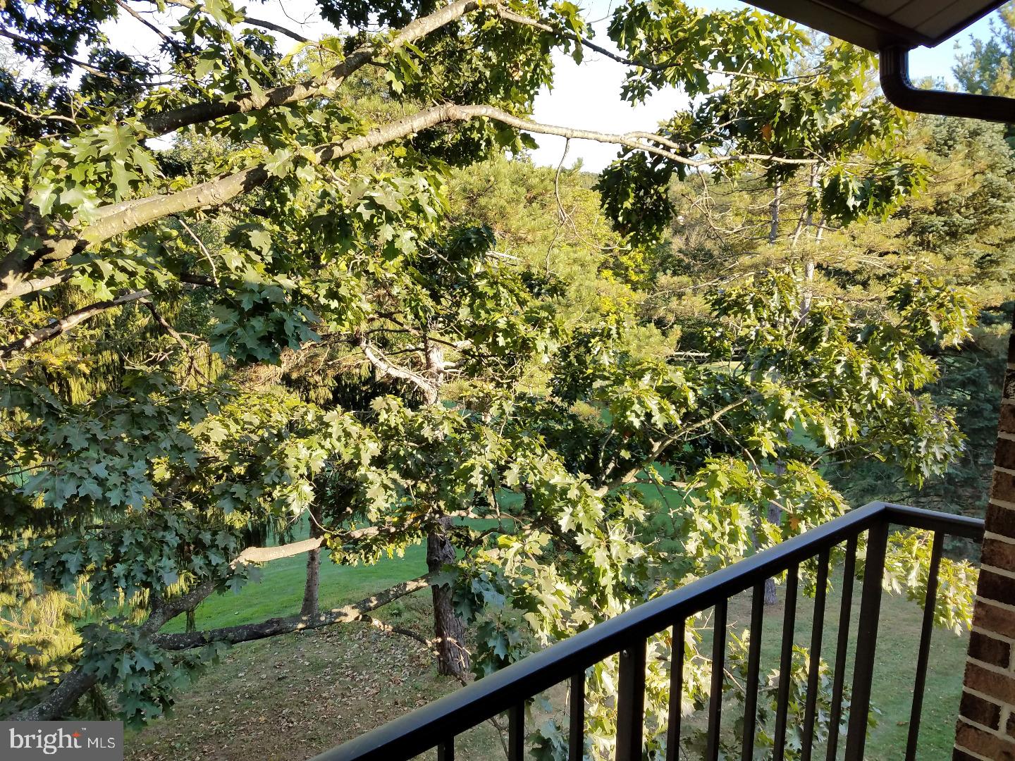 13 F Fairway Road Reading, PA 19607 - Photo 14 of 14 Gallery Image 14