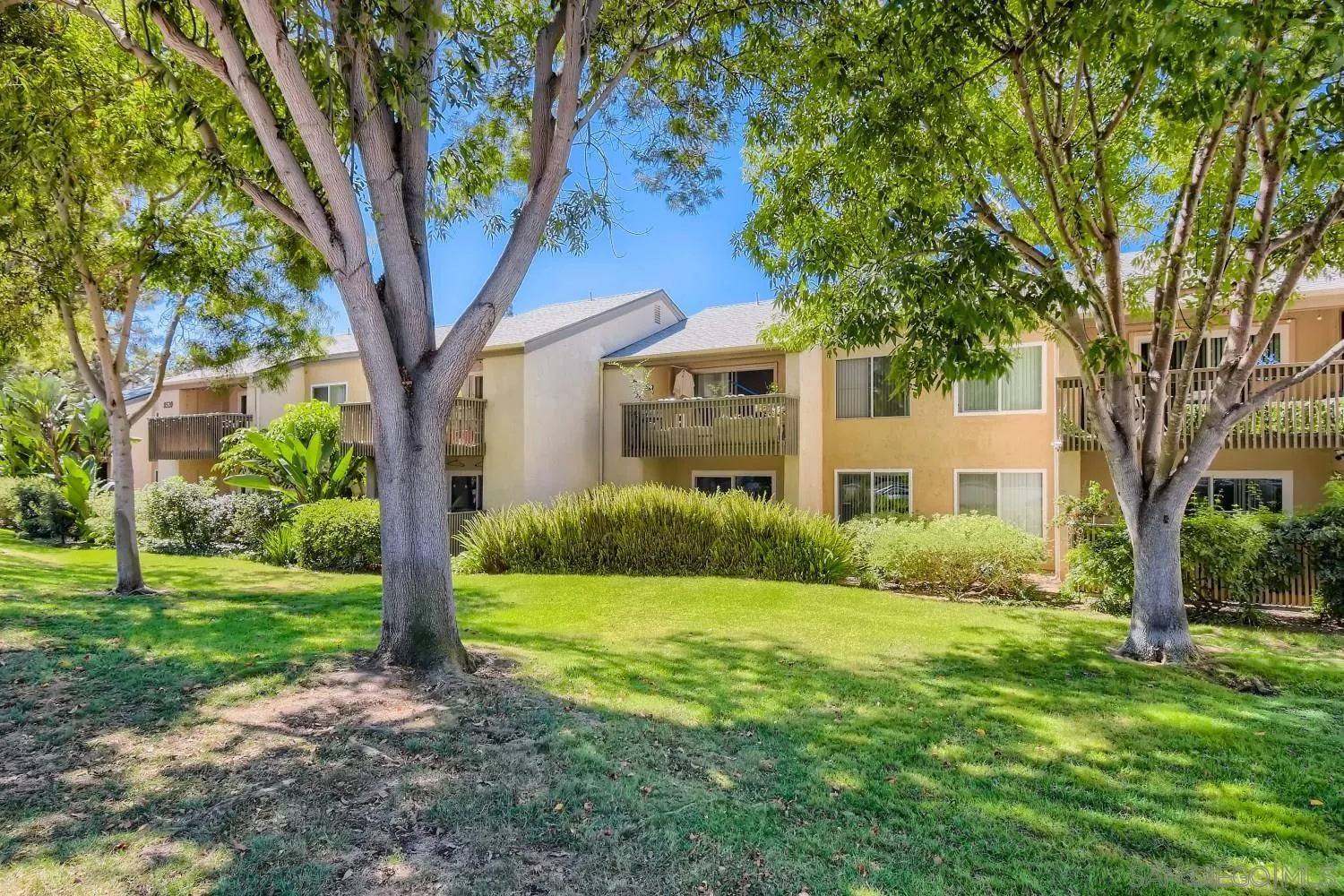 a view of a house with a tree in a yard