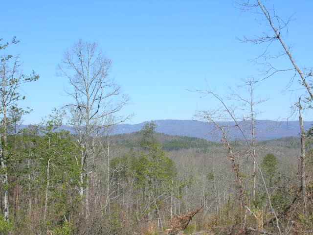 0 East Side Pace Bridge Road Easley, SC 29640 - Photo 1 of 8