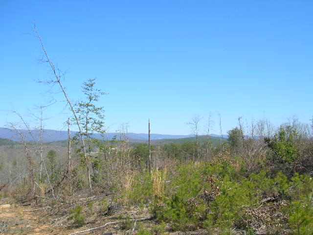0 East Side Pace Bridge Road Easley, SC 29640 - Photo 2 of 8