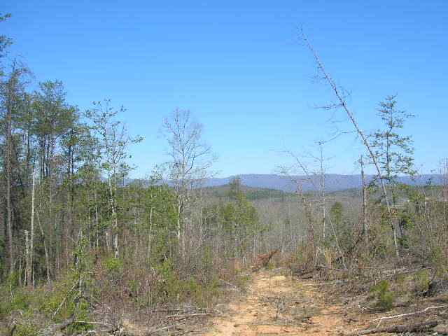 0 East Side Pace Bridge Road Easley, SC 29640 - Photo 3 of 8