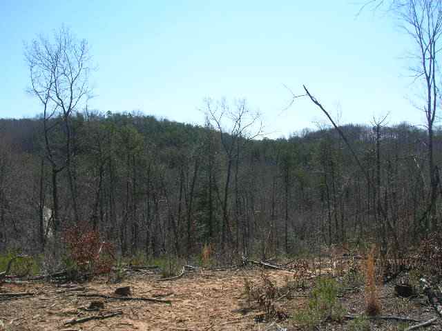 0 East Side Pace Bridge Road Easley, SC 29640 - Photo 4 of 8