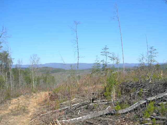 0 East Side Pace Bridge Road Easley, SC 29640 - Photo 5 of 8