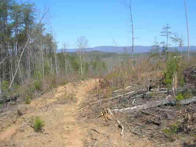 0 East Side Pace Bridge Road Easley, SC 29640 - Photo 7 of 8