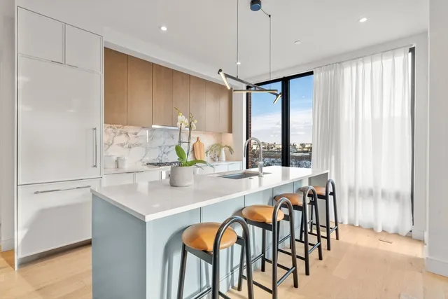 $1,225,000 | 595 Albany Street, Unit 201, Boston, MA 02118