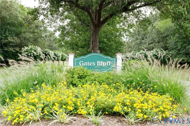 a view of a park that has large trees