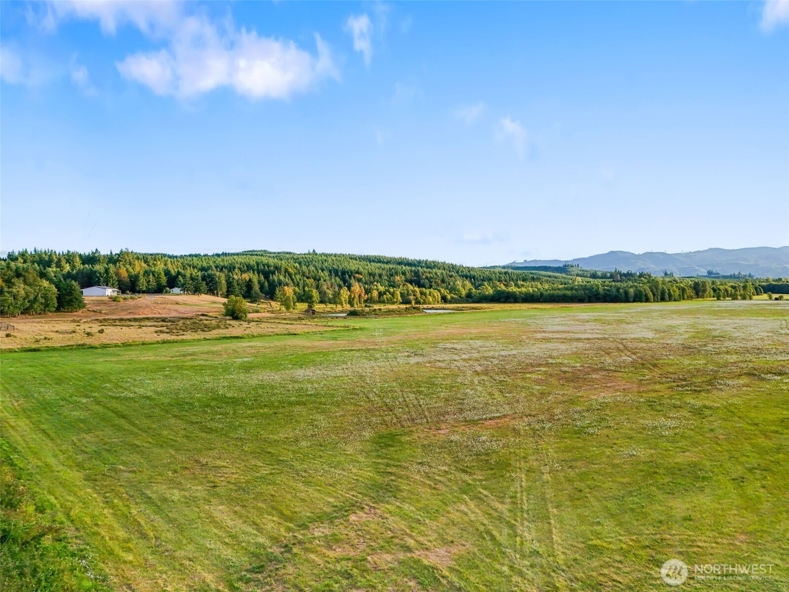 437 Ingalls Road Rochester, WA 98579 - Photo 5 of 40 Gallery Image 5