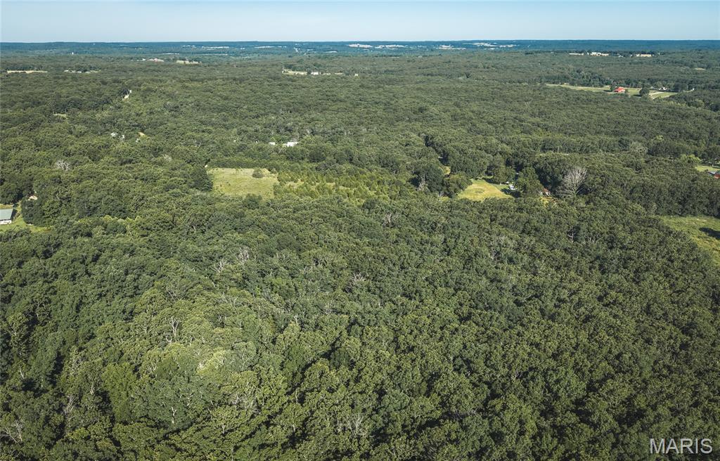9.93-acres State Rte B St. James, MO 65559 - Photo 11 of 17