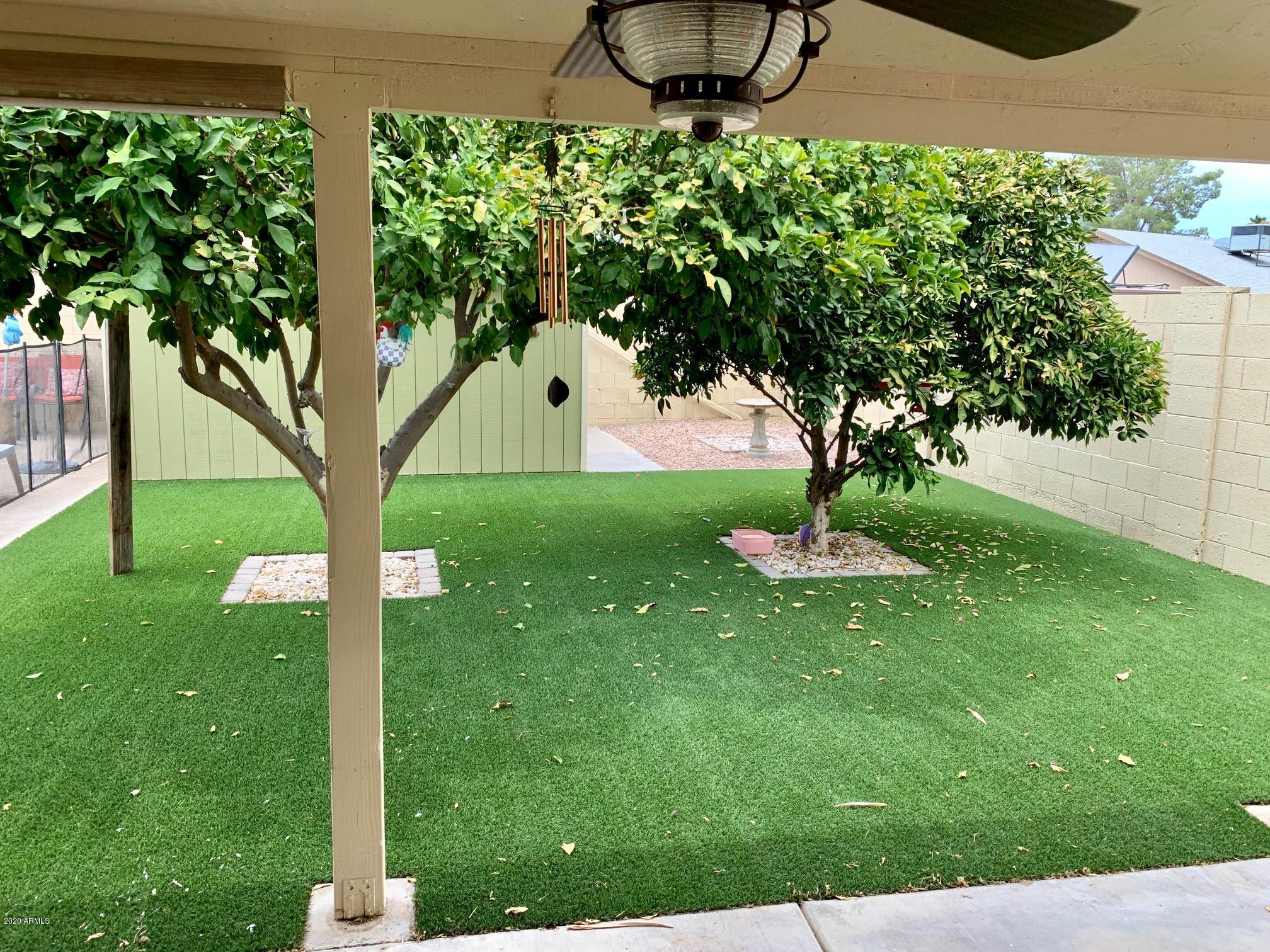 500 South Terrace Road Chandler, AZ 85226 - Photo 18 of 22 a backyard of a house with a yard and potted plants