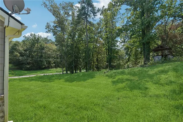 a view of a grassy field with trees