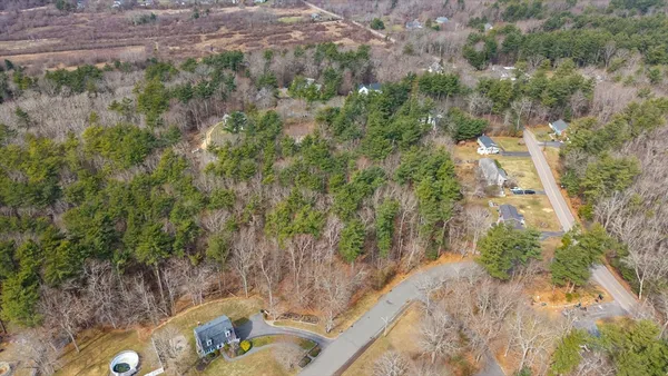 a view of a backyard with plants and a lake view
