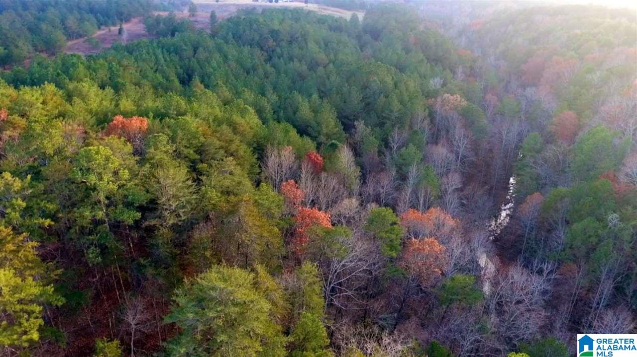 0 Highway 27 Springville Al Springville, AL 35146 - Photo 3 of 12