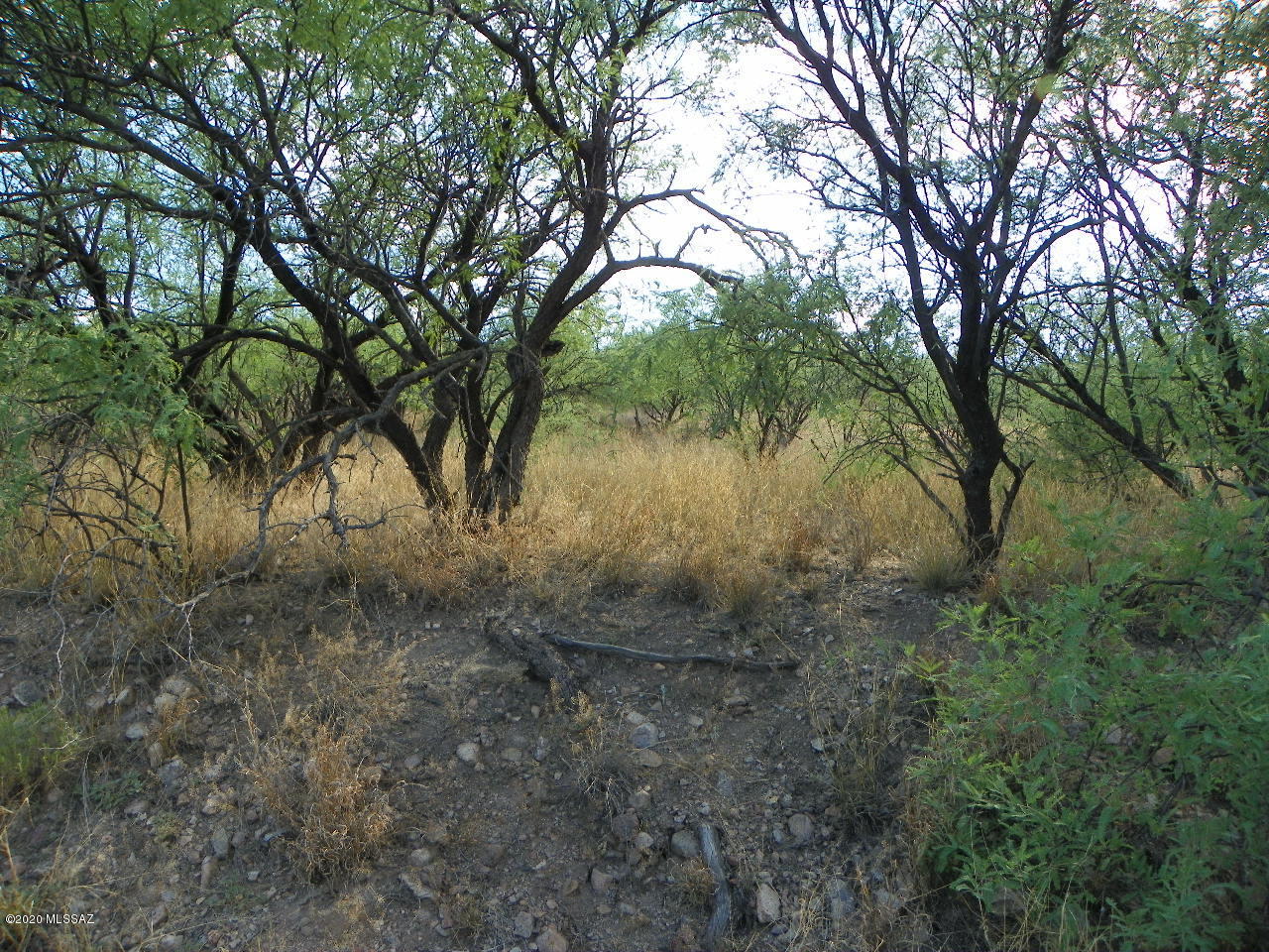920 Via Puebla, Unit 68 Rio Rico, AZ 85648 - Photo 7 of 9