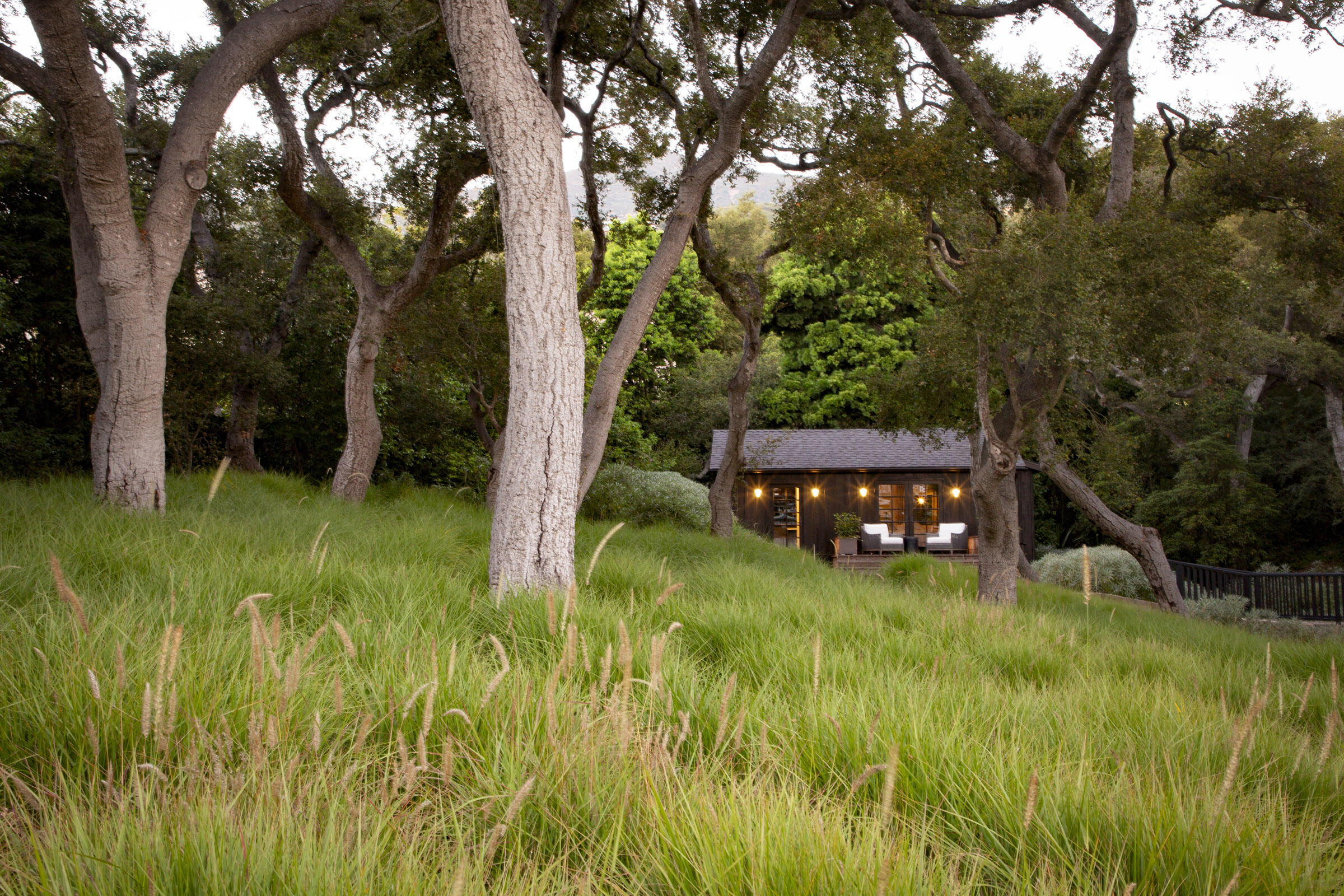 Undisclosed Address Montecito, CA 93108 - Photo 39 of 41 a view of a backyard with plants and large trees