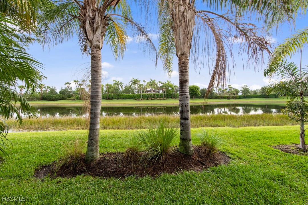 12016 Five Waters Circle Fort Myers, FL 33913 - Photo 12 of 19 a view of a lake with a big yard and palm trees