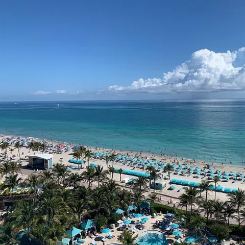 a view of a palm tree with dinning table and chairs