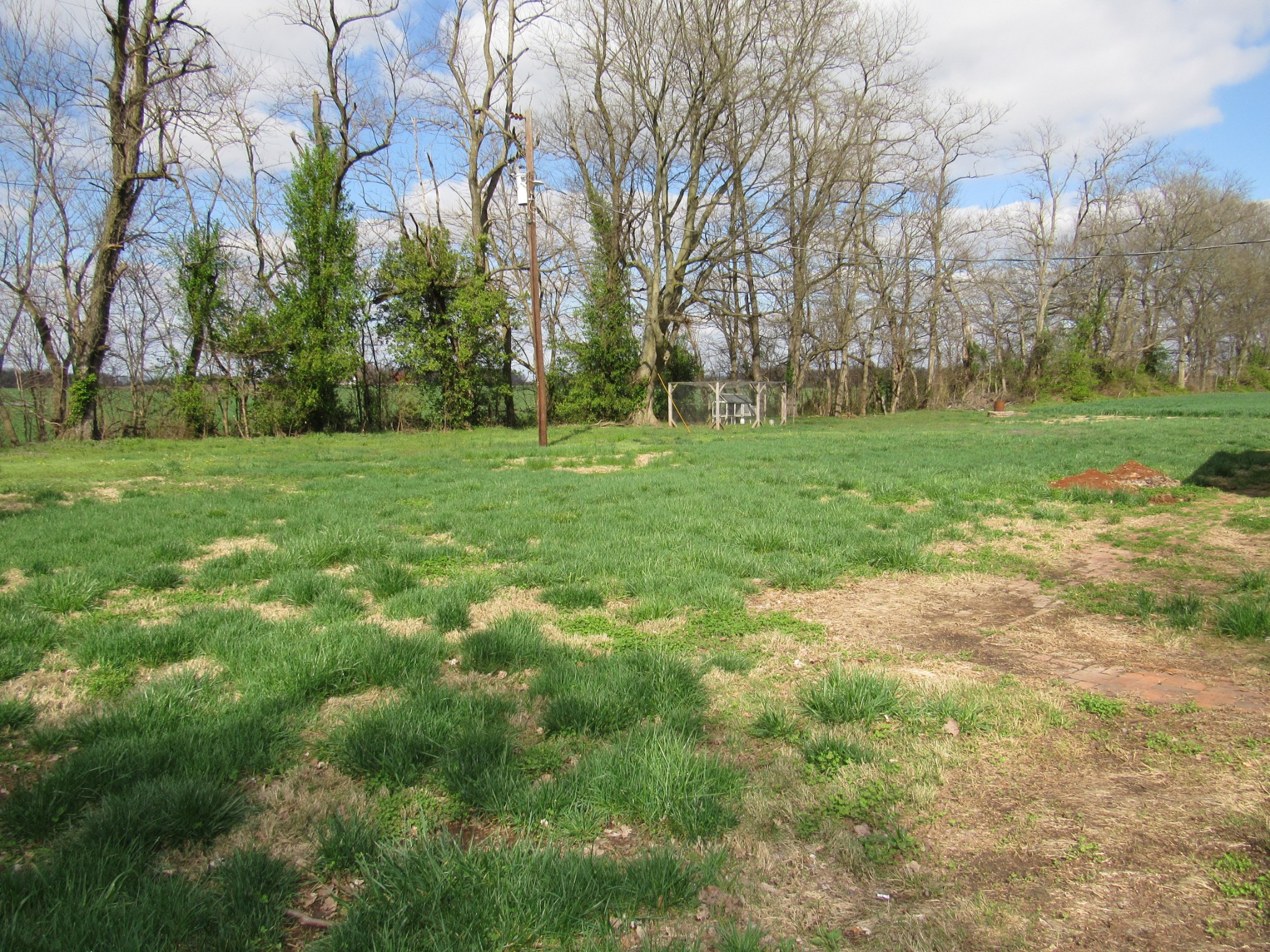 11885 Palmyra Road Oak Grove, KY 42262 - Photo 17 of 21 a view of outdoor space and yard