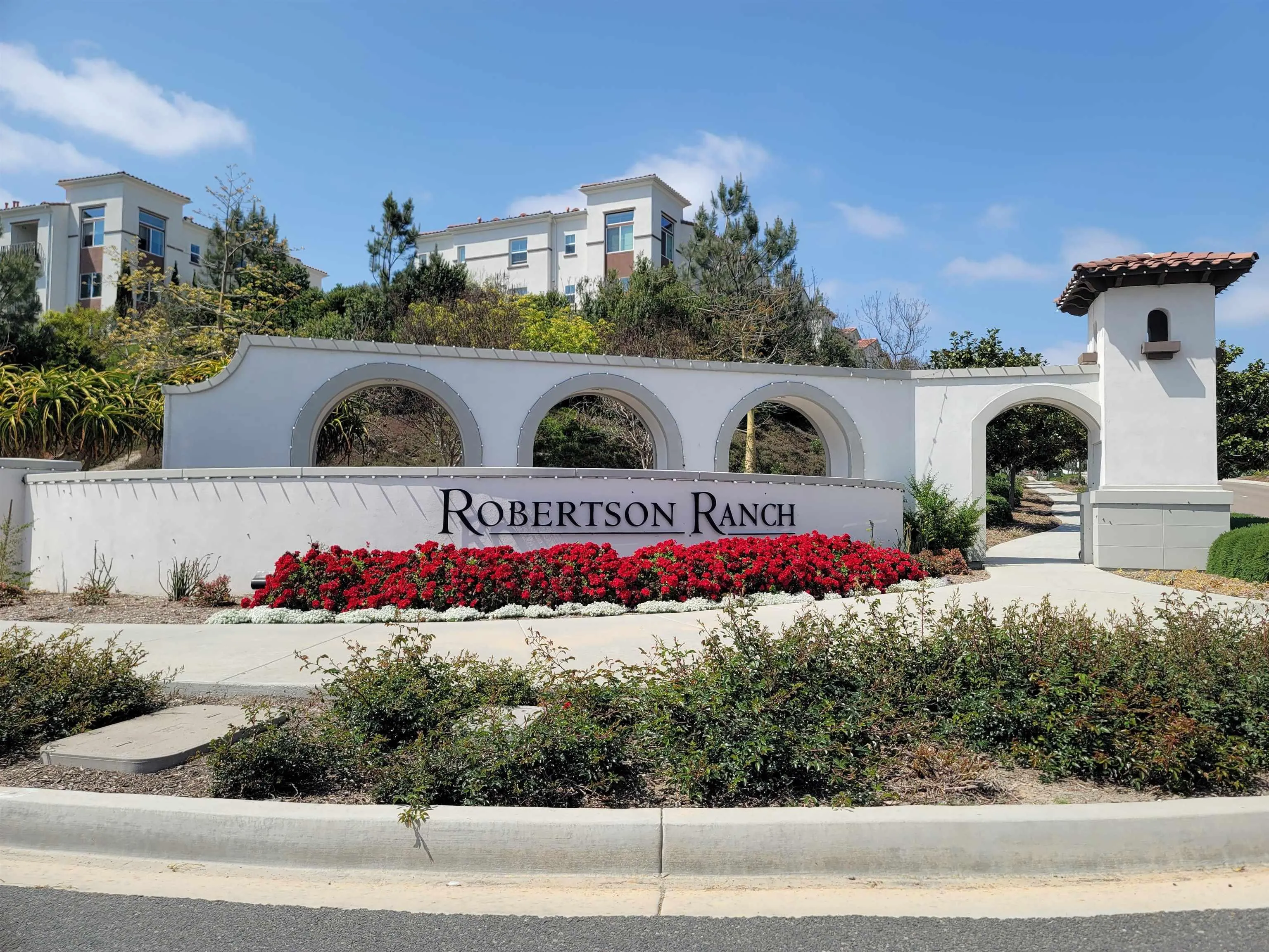 2520 Wellspring Street Carlsbad, CA 92010 - Photo 24 of 26 a view of a street with cars