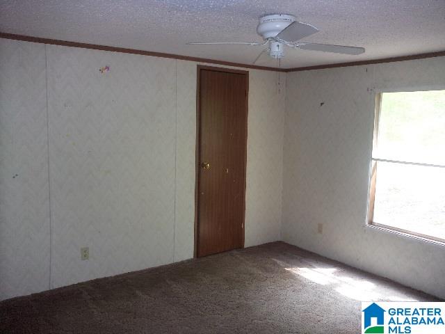 167 Country View Road Odenville, AL 35120 - Photo 9 of 10
