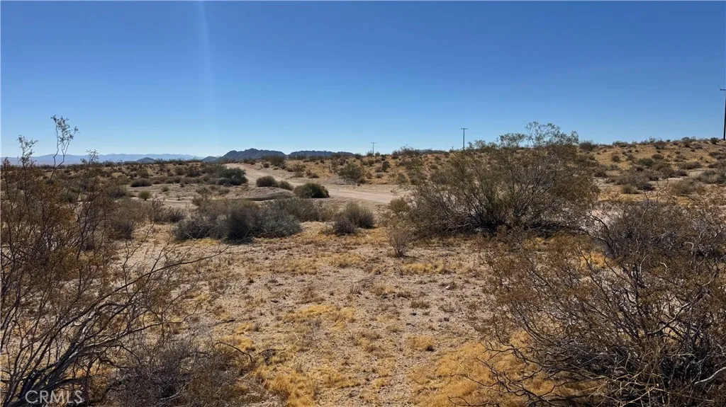 0 Bodick Road Johnson Valley, CA 92285 - Photo 10 of 12 Gallery Image 10