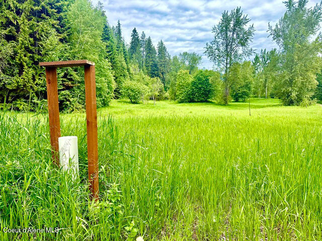 2868 Pine Island Road Bonners Ferry, ID 83805 - Photo 13 of 46 10