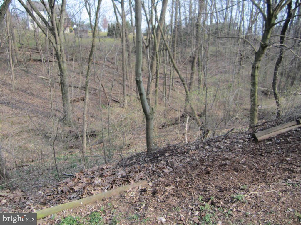238 Hickory Drive Lititz, PA 17543 - Photo 4 of 27 a view of a yard with trees