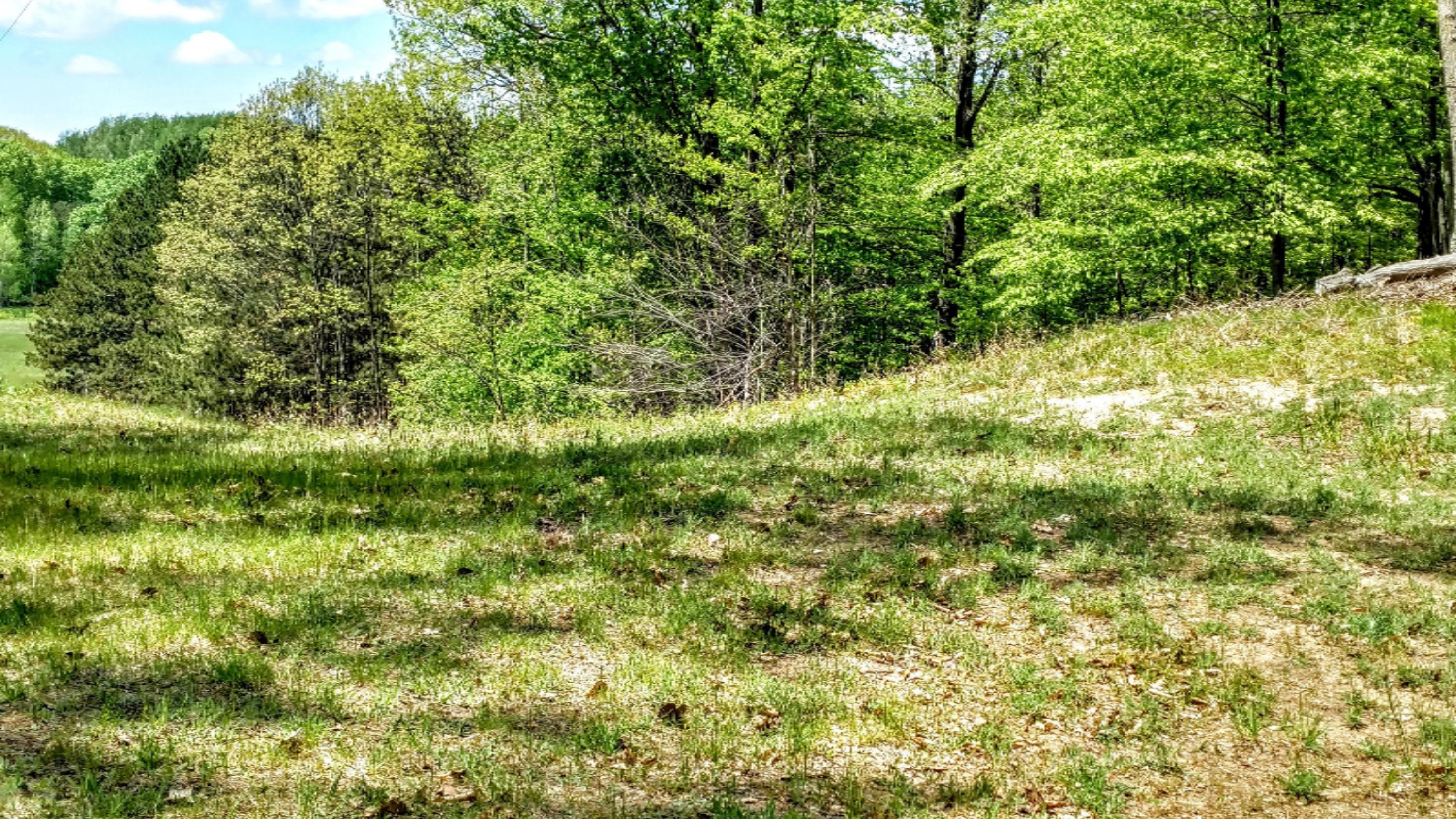 18720 9 Mile Road Kaleva, MI 49645 - Photo 48 of 59 IMG_20170522_135706032_HDR